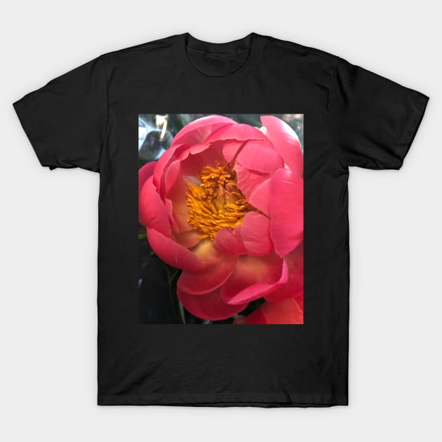 Outrageous Pink Peony T-Shirt by Photomersion